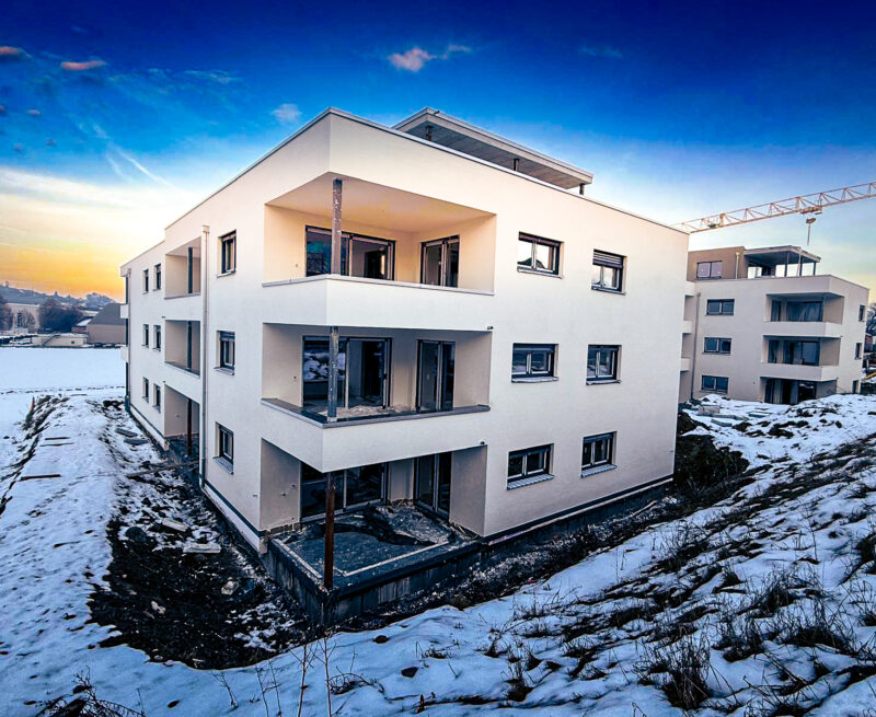 WhatsApp Image 2026-01-22 at 07.37.01 (2)