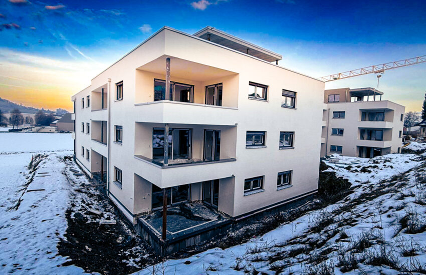 WhatsApp Image 2026-01-22 at 07.37.01 (2)