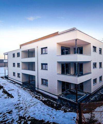 WhatsApp Image 2026-01-22 at 07.37.01 (3)