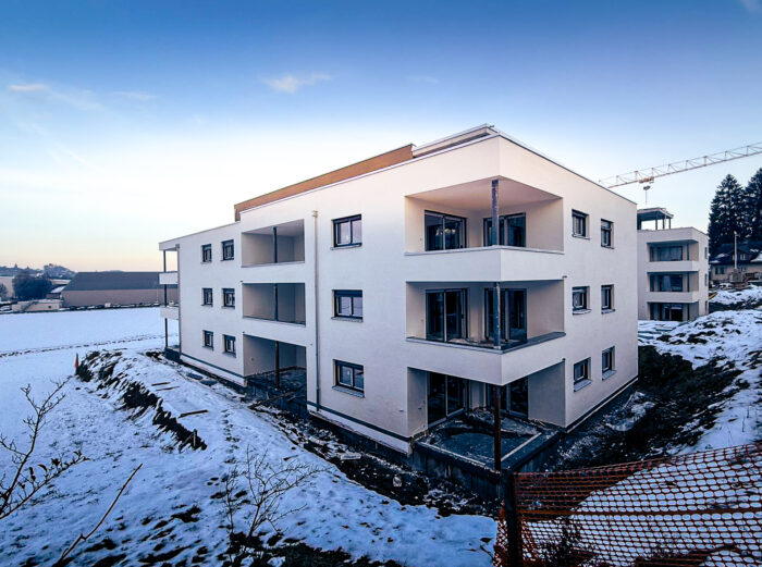 WhatsApp Image 2026-01-22 at 07.37.01 (3)