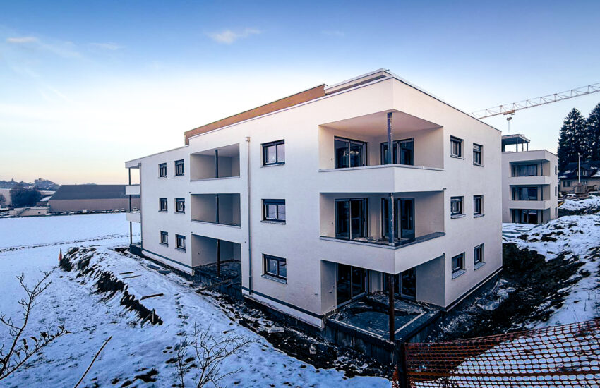 WhatsApp Image 2026-01-22 at 07.37.01 (3)